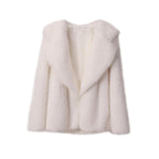 Manteau Long avec Fermeture Discrète pour Femme | Idéal pour l’Hiver