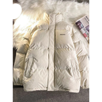 Veste Matelassée D’hiver avec Col Montant pour Hommes | Idéale pour Les Activités En Extérieur