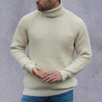 Pull Col Roulé Avec Coupe Décontractée Pour Homme | Idéal Pour La Saison Fraîche