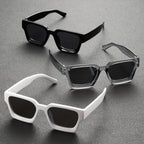 Lunettes De Soleil Pour Adultes Avec Verres Teintés | Idéales Pour Activités Extérieures