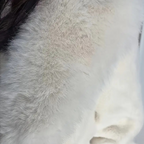 Manteau D’Hiver avec Capuche Ajustable pour Femme | Idéal pour Les Journées Froides