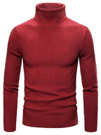Pull à Col Rond pour Homme | Idéal pour le Quotidien et le Bureau