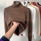 Pull à Imprimé Subtil pour Femme Disponible en Plusieurs Coloris | Idéal pour un Usage Quotidien