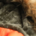 Parka à Col Amovible avec Poches Structurées pour Hommes | Idéale pour l’Hiver