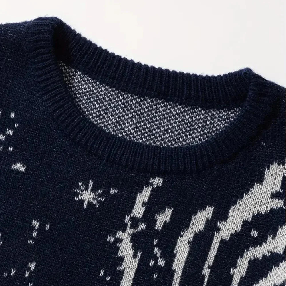 Pull Tricoté à Manches Longues pour Hommes | Idéal pour un Usage Quotidien
